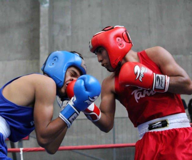 ¡A MOSTRARSE! ¡A MOSTRARSE!