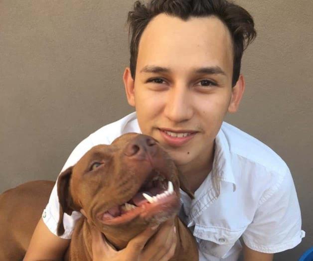 Impulsa la vacunación de mascotas gratis Impulsa la vacunación de mascotas gratis