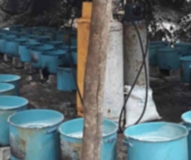 Destruyen cuatro laboratorios clandestinos en Culiacán Destruyen cuatro laboratorios clandestinos en Culiacán