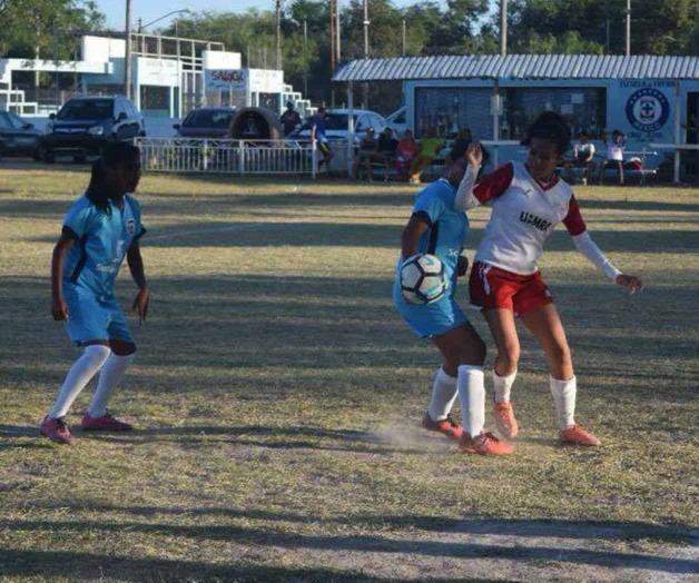 No paran las Bufalitas No paran las Bufalitas