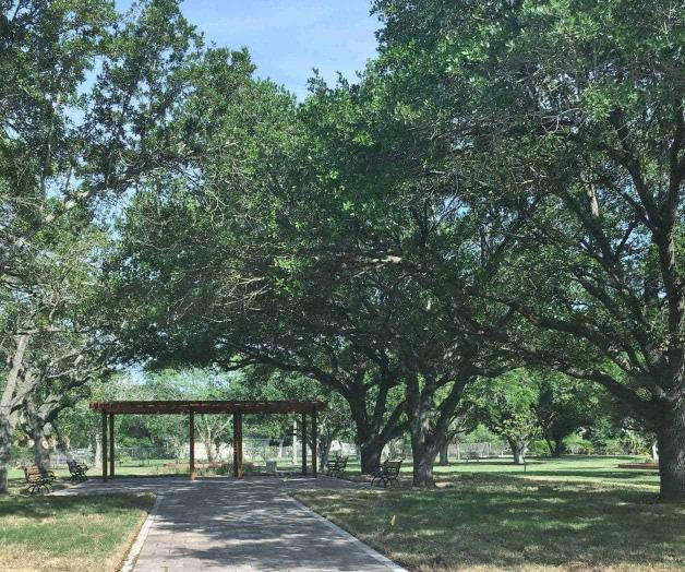 Inversión millonaria en parque Lon C. Hill. Se convertirá en identidad nacional Inversión millonaria en parque Lon C. Hill. Se convertirá en identidad nacional