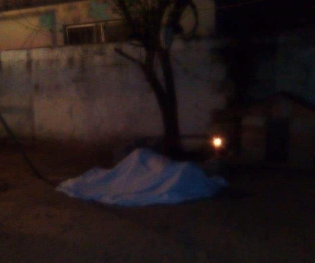 Después de una fiesta se quita la existencia. Se ahorca en un árbol en su patio Después de una fiesta se quita la existencia. Se ahorca en un árbol en su patio