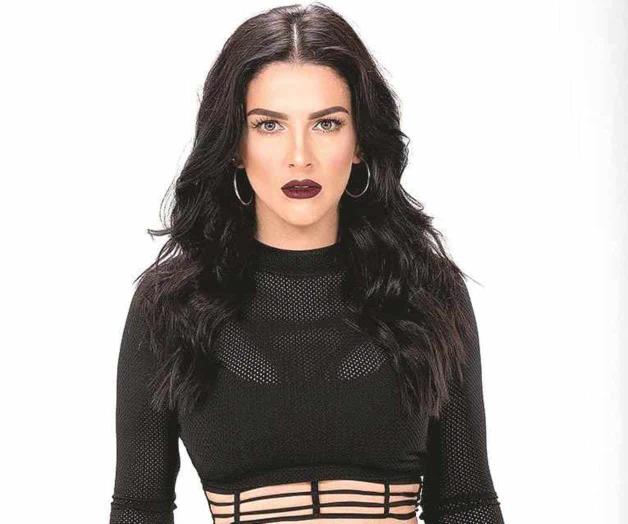 Alistan fiesta de OV7 Alistan fiesta de OV7