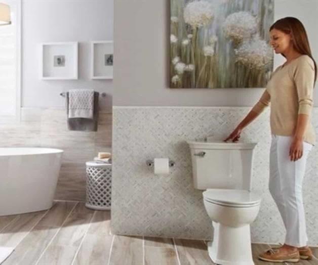 Inodoro obtiene premio por excelencia en su diseño Inodoro obtiene premio por excelencia en su diseño