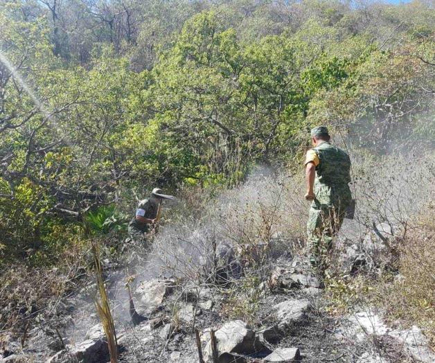 Consume 23 hectáreas incendio forestal