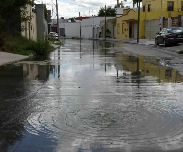 Tienen que transitar entre aguas negras Tienen que transitar entre aguas negras