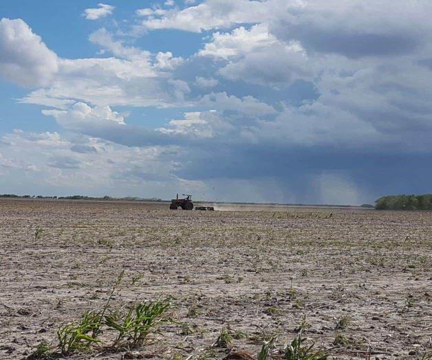 Riesgo de siniestro en 650 hectáreas Riesgo de siniestro en 650 hectáreas