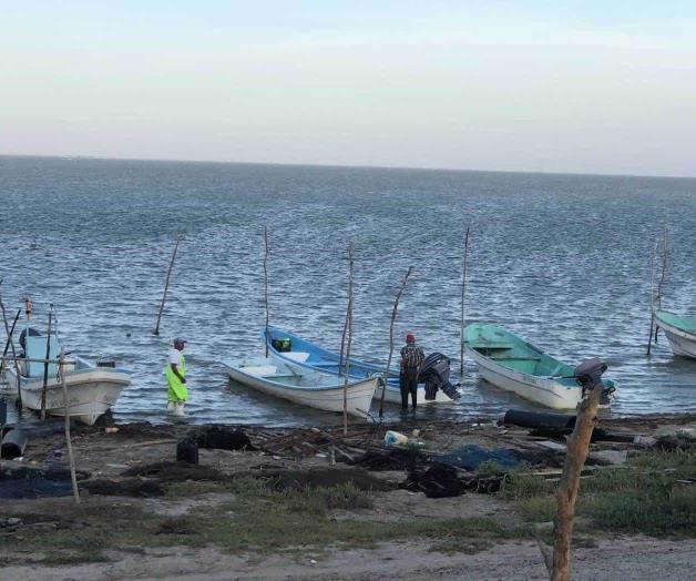 Ahuyenta el calorón especies acuáticas Ahuyenta el calorón especies acuáticas