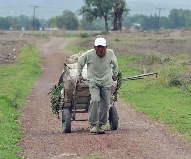 Necesario crear un sistema de apoyo para adultos mayores Necesario crear un sistema de apoyo para adultos mayores