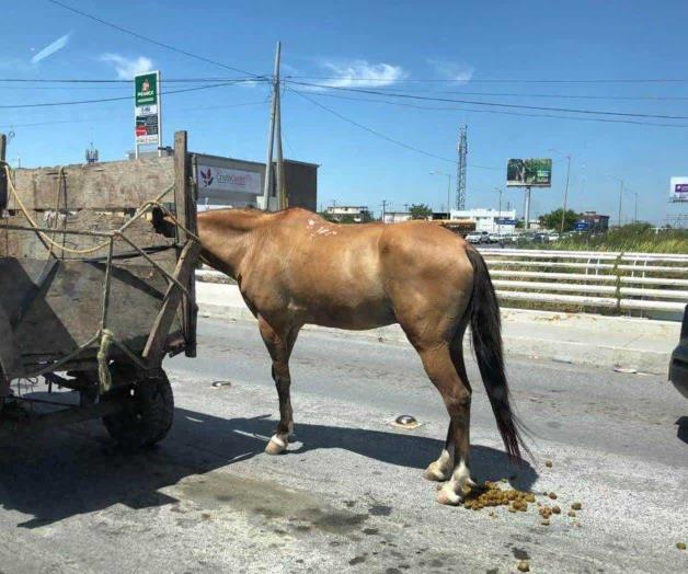 Contamina al caminar Contamina al caminar