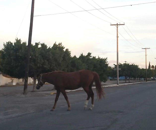 Ponen en riesgo a los conductores Ponen en riesgo a los conductores