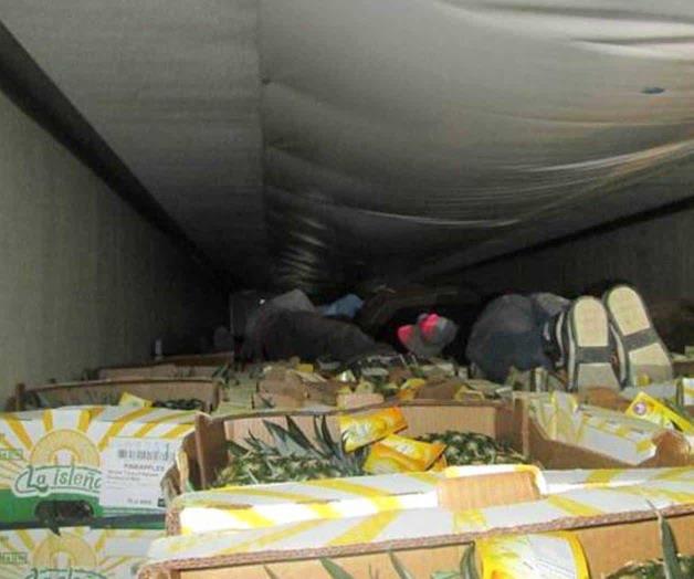 Ocultan carga humana entre las cajas de piña Ocultan carga humana entre las cajas de piña