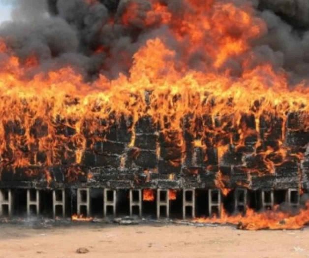 Queman casi cinco toneladas de narcóticos en Sonora Queman casi cinco toneladas de narcóticos en Sonora