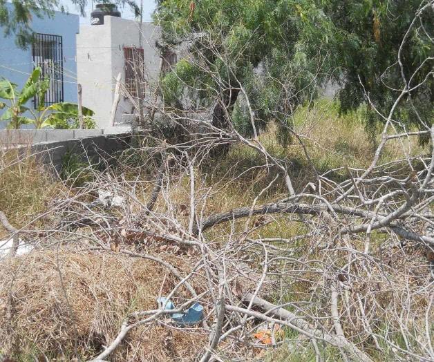 Reniegan de baldíos Reniegan de baldíos