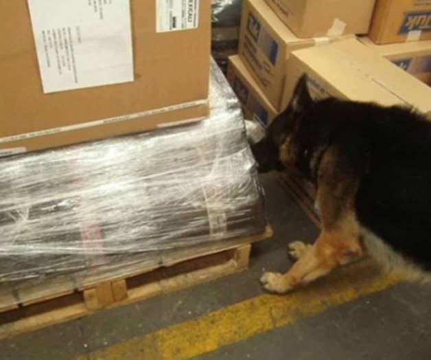 Aseguran droga en paquetería de Guadalajara