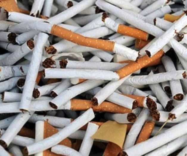 Destruyen más de un millón de cigarros en Veracruz