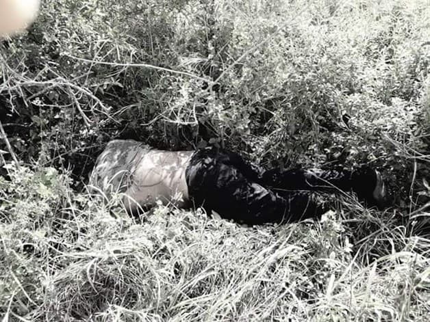 Acribillado y en descomposición Acribillado y en descomposición