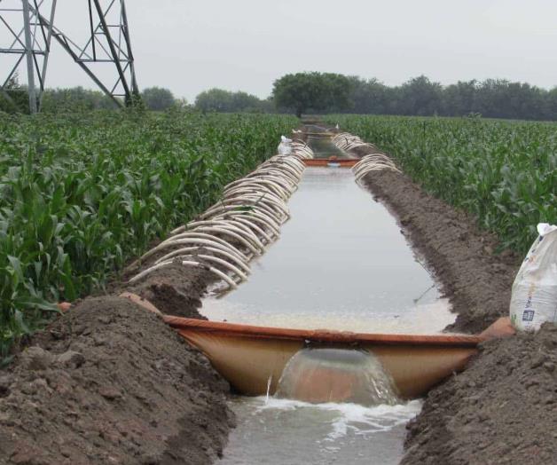 Contrastan productores de distritos de riego 26 y 25 Contrastan productores de distritos de riego 26 y 25