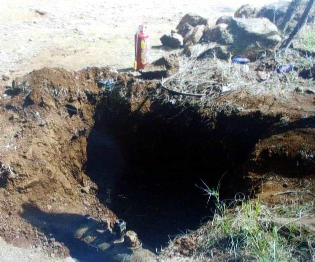 Guía perro a fosas y encuentran 19 cuerpos