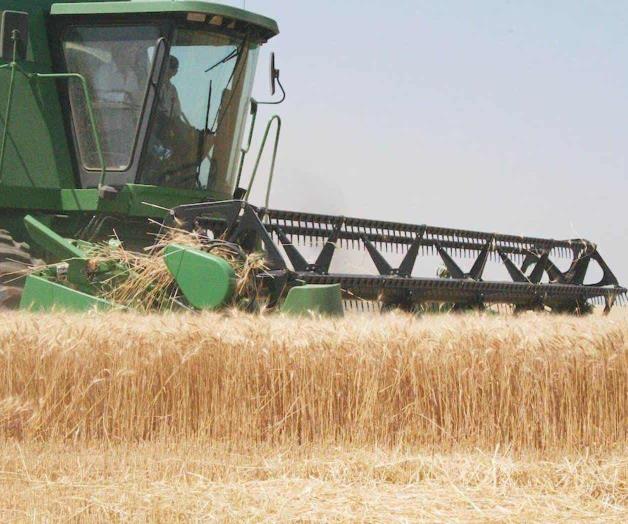 Revisa comité de agricultura diversos temas