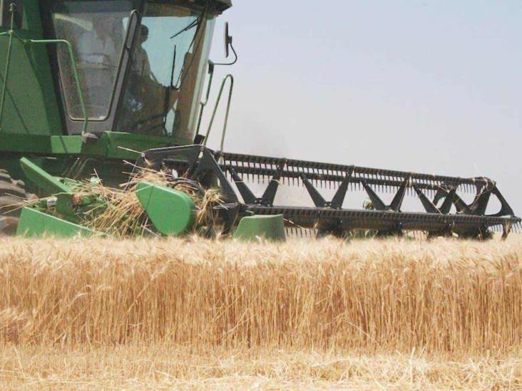Revisa comité de agricultura diversos temas Revisa comité de agricultura diversos temas