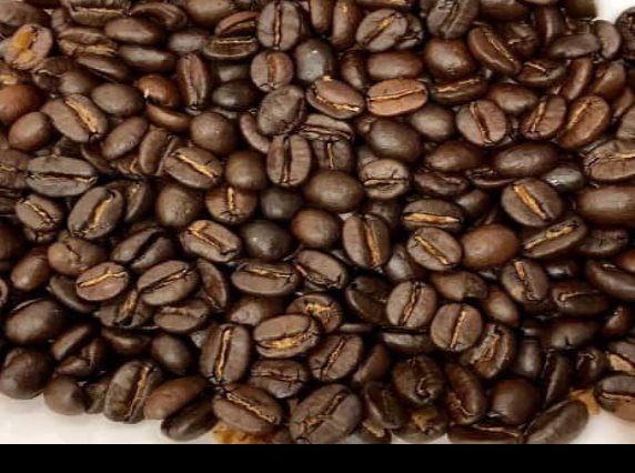 Premian a productores de café de Hidalgo, en Francia