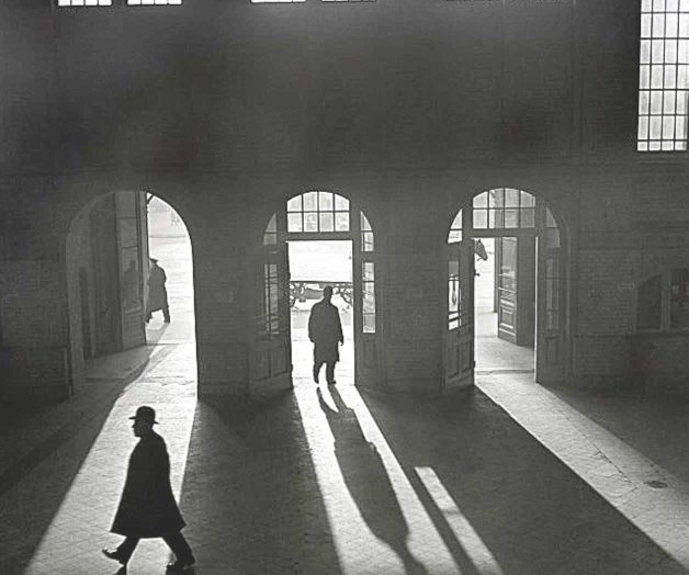 Roman Vishniac: el científico que veía como un fotógrafo Roman Vishniac: el científico que veía como un fotógrafo