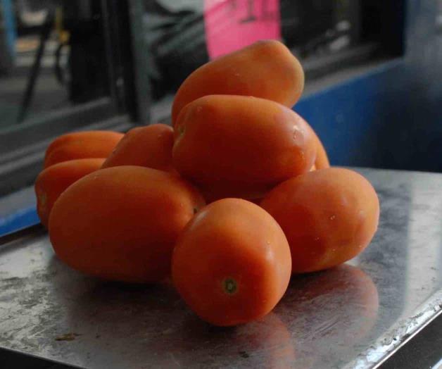 Clima eleva el costo del kilo de tomate