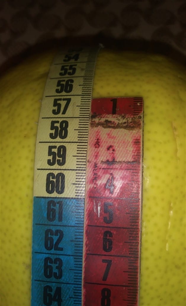 Generan asombro limones gigantes. Tienen inusuales dimensiones