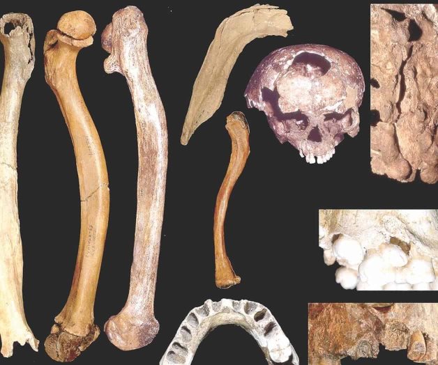 Los humanos ya cuidaban a sus discapacitados hace 200 mil años