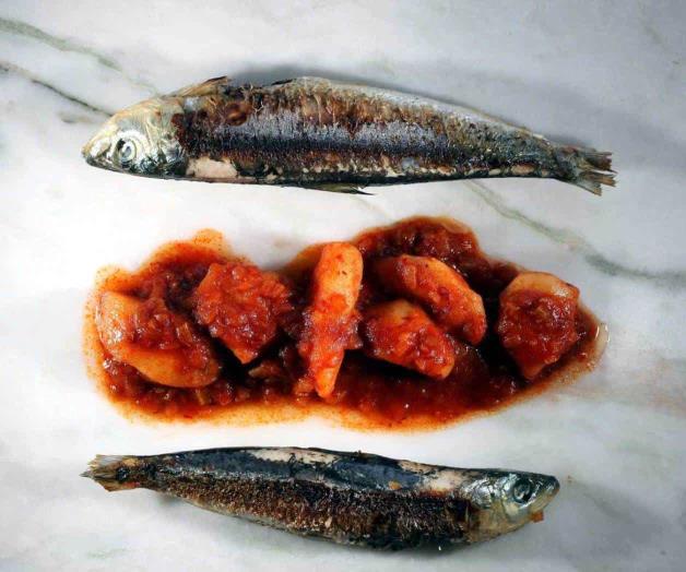 Procesa Sonora 65% de sardina Procesa Sonora 65% de sardina