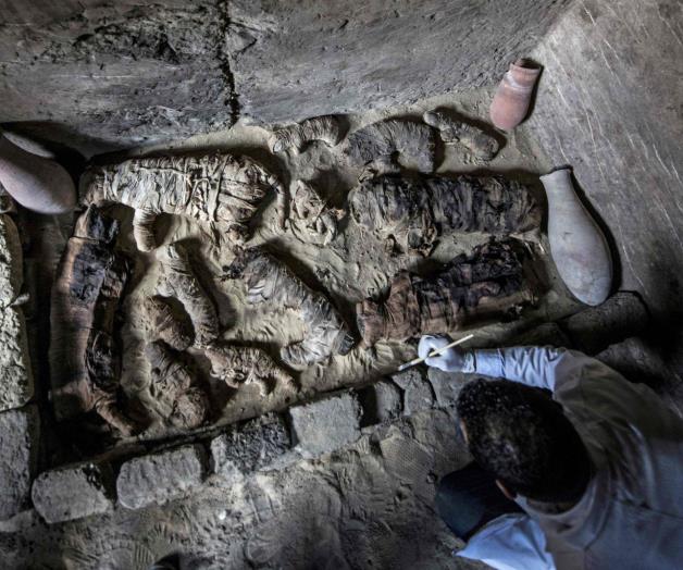 Encuentran decenas de gatos momificados del Antiguo Egipto