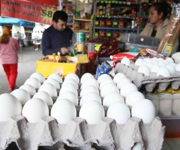 Falta infraestructura para garantizar canasta básica