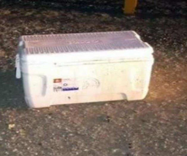 Encuentran 4 cabezas en hieleras en Chihuahua Encuentran 4 cabezas en hieleras en Chihuahua