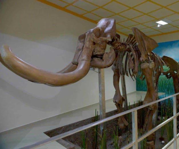 Con el mamut, la arqueología llegó a Tultepec Con el mamut, la arqueología llegó a Tultepec