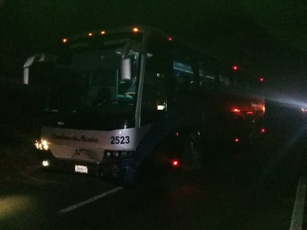 Provocan semovientes dos accidentes simultáneos en Pánuco Provocan semovientes dos accidentes simultáneos en Pánuco