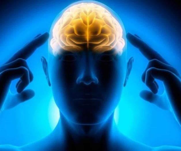 Un misterio, la comunicación entre neuronas Un misterio, la comunicación entre neuronas