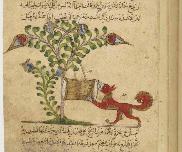 La agitada vida de los manuscritos iluminados medievales La agitada vida de los manuscritos iluminados medievales