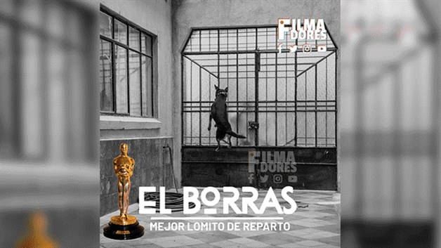 Memes no se hacen esperar