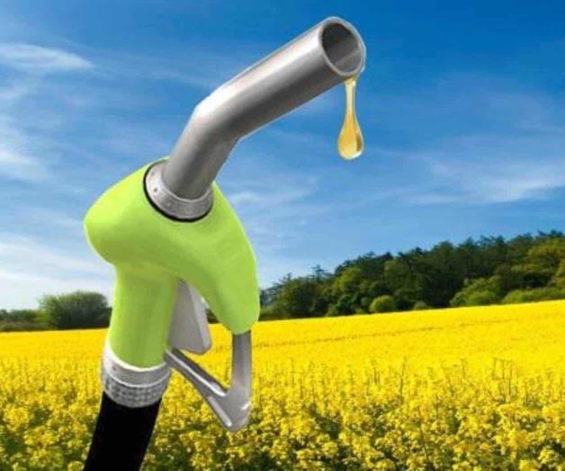 Ayudaría producción de biocombustibles a seguridad energética de México Ayudaría producción de biocombustibles a seguridad energética de México