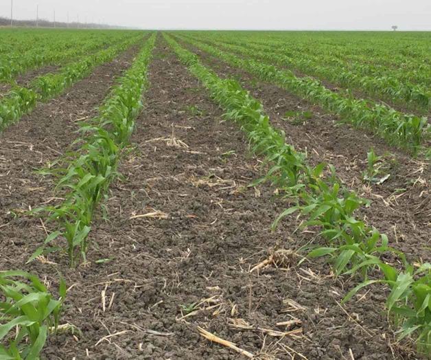 Sin crecer volumen en presa Falcón