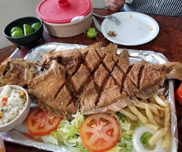 Comienza la Coepris operativo de vigilancia