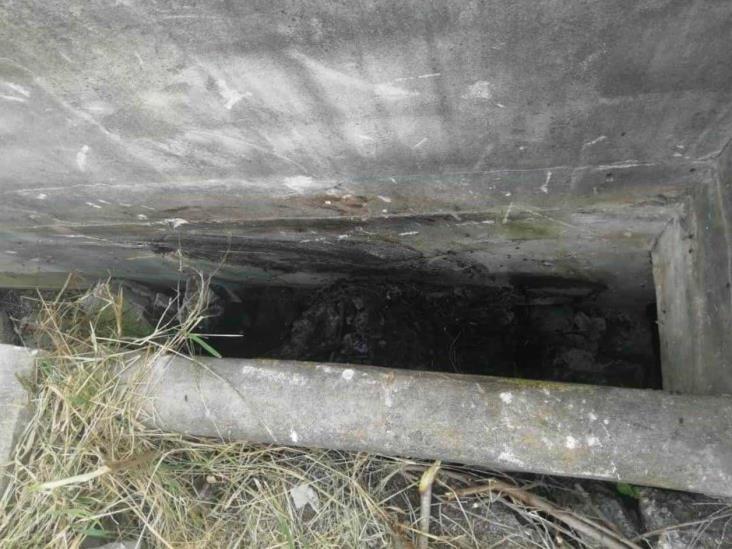 Identifican a mujer asesinada a golpes Identifican a mujer asesinada a golpes