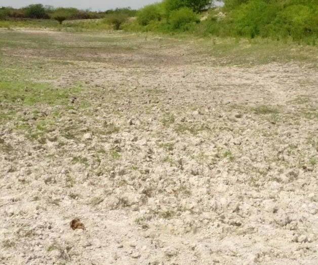 Urge agua a ganaderos para recargar sus presas