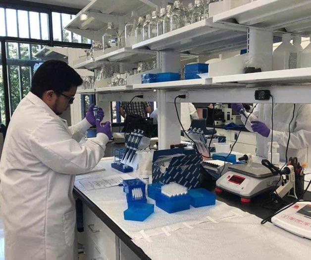 Avalan acuerdos para males transmitidos por mosquitos Avalan acuerdos para males transmitidos por mosquitos