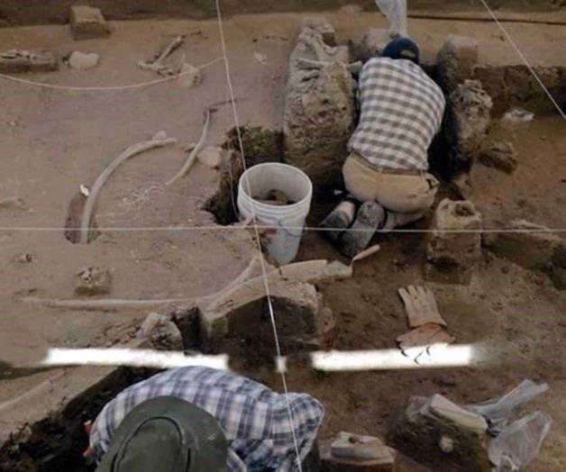 Hallan restos de mamut en Tultepec, Edomex Hallan restos de mamut en Tultepec, Edomex