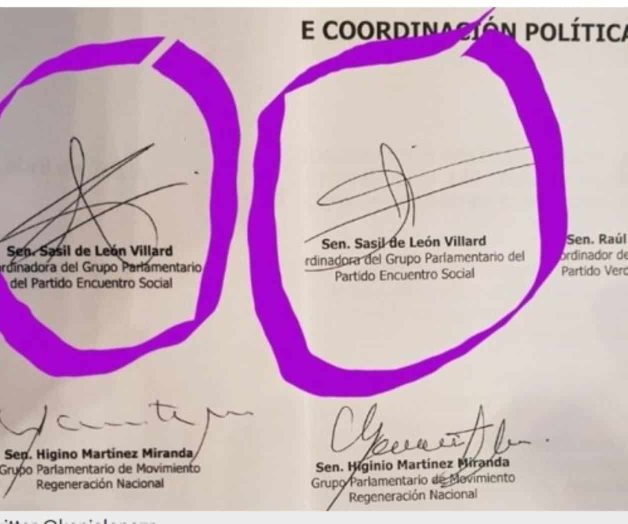 Determina grafóloga falsificación de firma de la senadora De León V. 