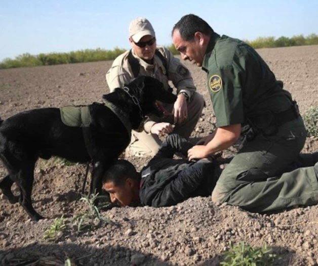 Detienen a 2 pandilleros y un delincuente sexual