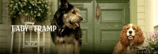 La dama y el vagabundo en live-action; publican la primer imagen La dama y el vagabundo en live-action; publican la primer imagen