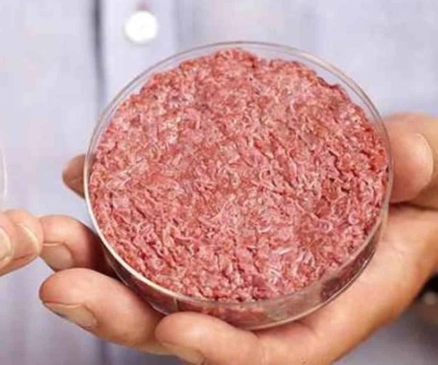 Carne cultivada in vitro sería opción alimentaria en el futuro